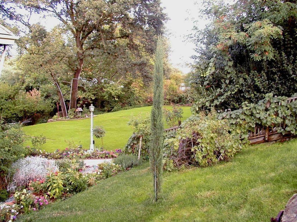 Robin'S Nest Bed & Breakfast San Andreas Exterior photo